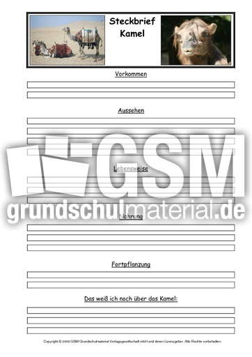 Kamel-Steckbriefvorlage.pdf